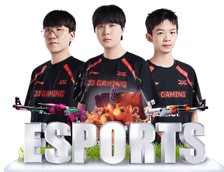 sản phẩm rr88 esports